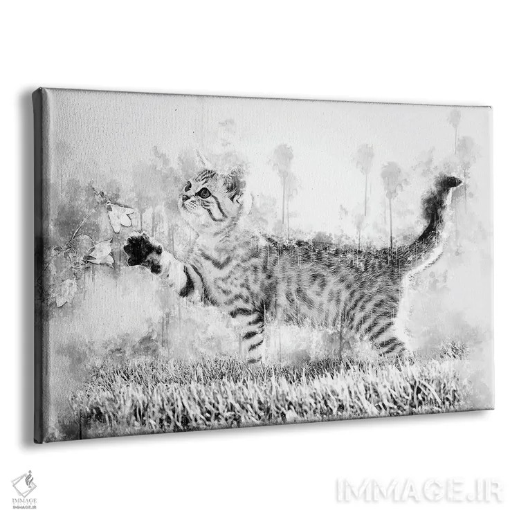 تابلو بچه گربه با گل در سیاه و سفید اثر کورنل ولاد - نمای پرسپکتیو محصول