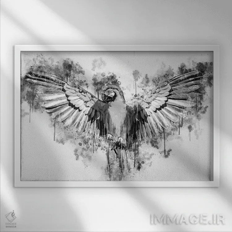 تابلو طوطی در سیاه و سفید اثر کورنل ولاد - نمای قابدار سفید