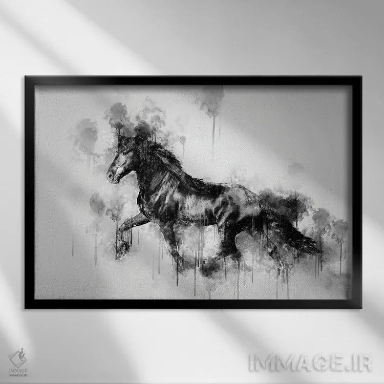 تابلو اسب در حال دویدن در سیاه و سفید اثر کورنل ولاد - نمای قابدار مشکی