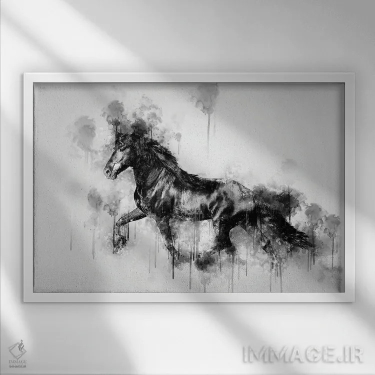 تابلو اسب در حال دویدن در سیاه و سفید اثر کورنل ولاد - نمای قابدار سفید