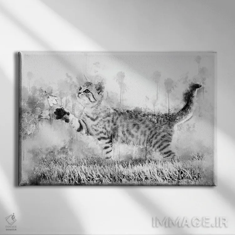 تابلو بچه گربه با گل در سیاه و سفید اثر کورنل ولاد - نمای روبهرو روی دیوار
