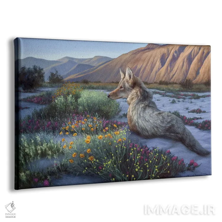 تابلو کایوت بیابانی اثر جیمز کوروین - نمای پرسپکتیو محصول