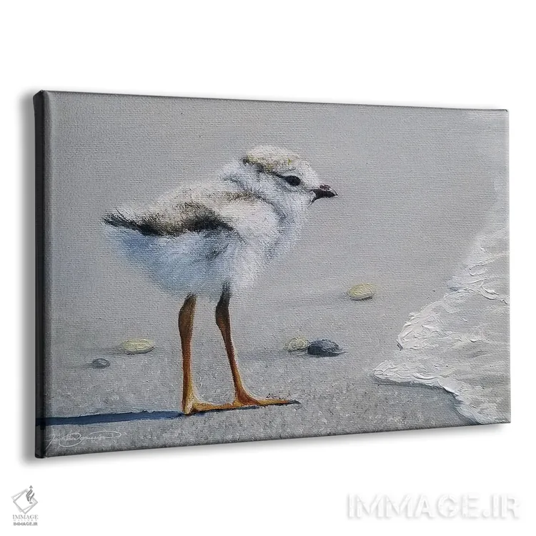 تابلو اولین فرو رفتن اثر جیمز کوروین - نمای پرسپکتیو محصول