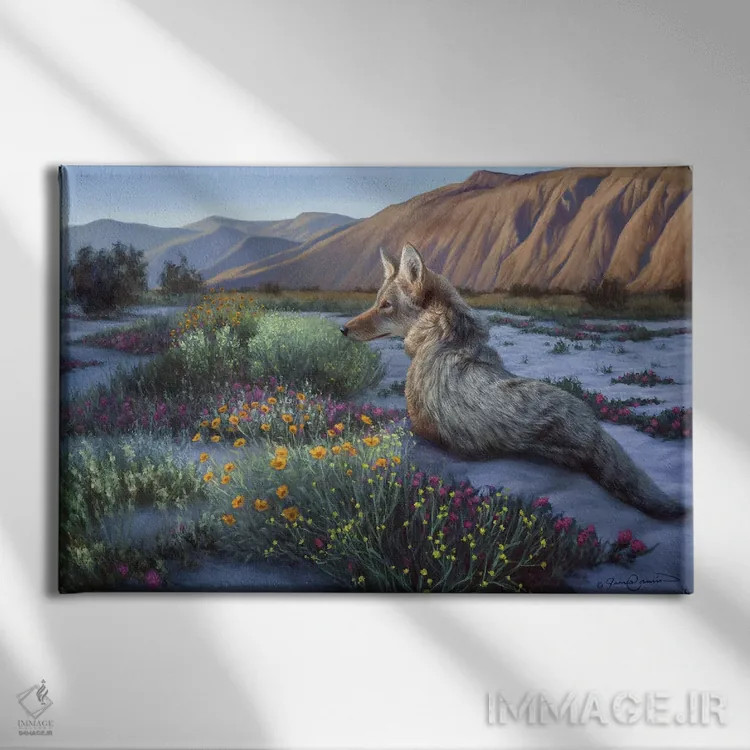 تابلو کایوت بیابانی اثر جیمز کوروین - نمای روبهرو روی دیوار