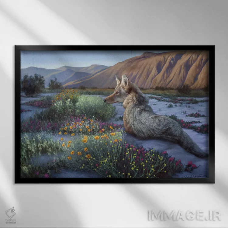 تابلو کایوت بیابانی اثر جیمز کوروین - نمای قابدار مشکی
