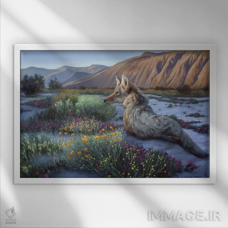 تابلو کایوت بیابانی اثر جیمز کوروین - نمای قابدار سفید