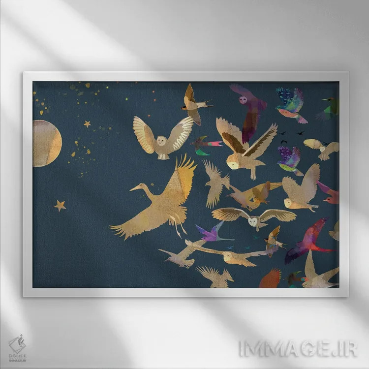 تابلو دنبال کن اثر کلر وستوود - نمای قابدار سفید