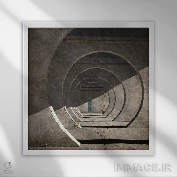 تابلو قایمموشک اثر سینتیا دکر - نمای قابدار سفید