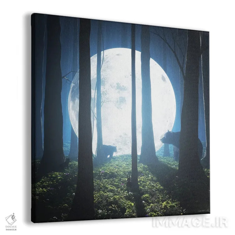 تابلو فرود بر ماه اثر سینتیا دکر - نمای پرسپکتیو محصول