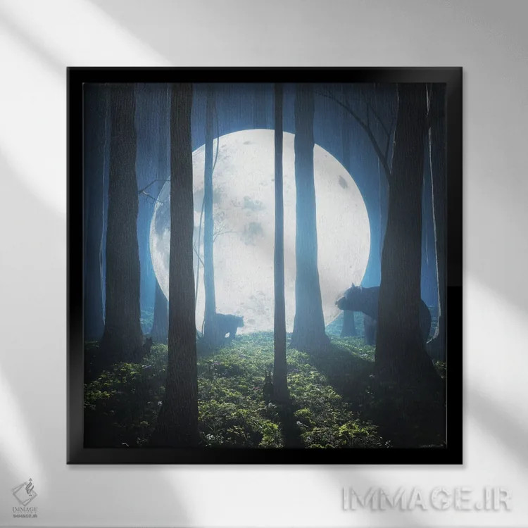 تابلو فرود بر ماه اثر سینتیا دکر - نمای قابدار مشکی