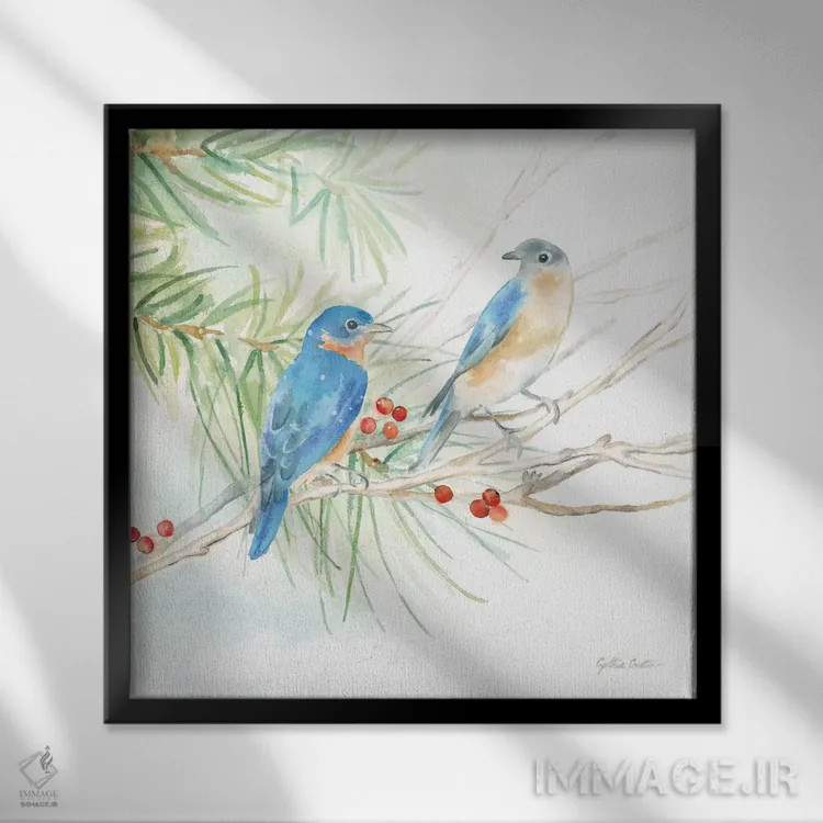 تابلو پرندگان زمستانی اثر سینتیا کولتر - نمای قابدار مشکی