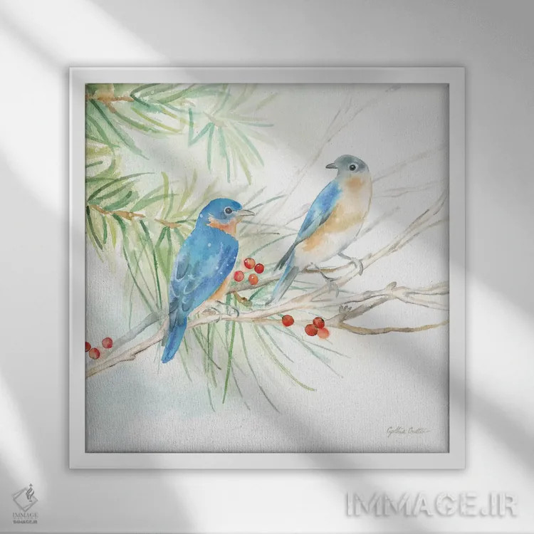 تابلو پرندگان زمستانی اثر سینتیا کولتر - نمای قابدار سفید