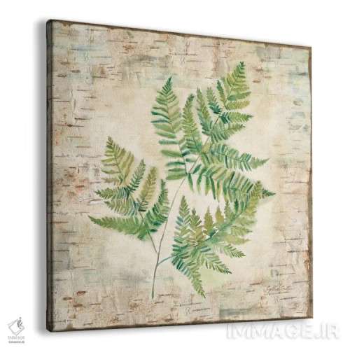 تابلو سرخسهای پوست درخت غان I اثر سینتیا کولتر - نمای پرسپکتیو محصول