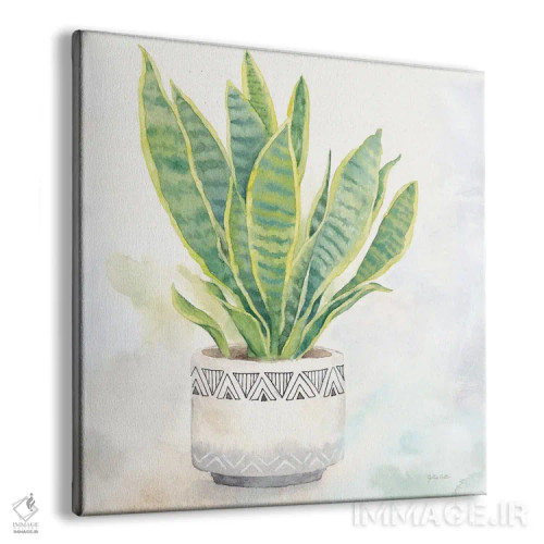 تابلو گیاه آپارتمانی IV - گیاه مار اثر سینتیا کولتر - نمای پرسپکتیو محصول