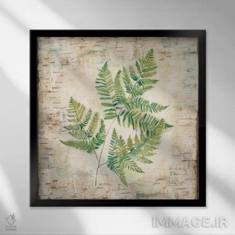 تابلو سرخسهای پوست درخت غان I اثر سینتیا کولتر - نمای قابدار مشکی