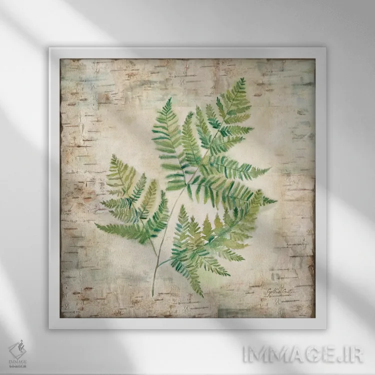 تابلو سرخسهای پوست درخت غان I اثر سینتیا کولتر - نمای قابدار سفید