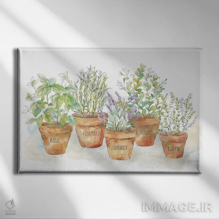 تابلو بگذار رشد کند I (پاک) اثر سینتیا کولتر - نمای روبهرو روی دیوار