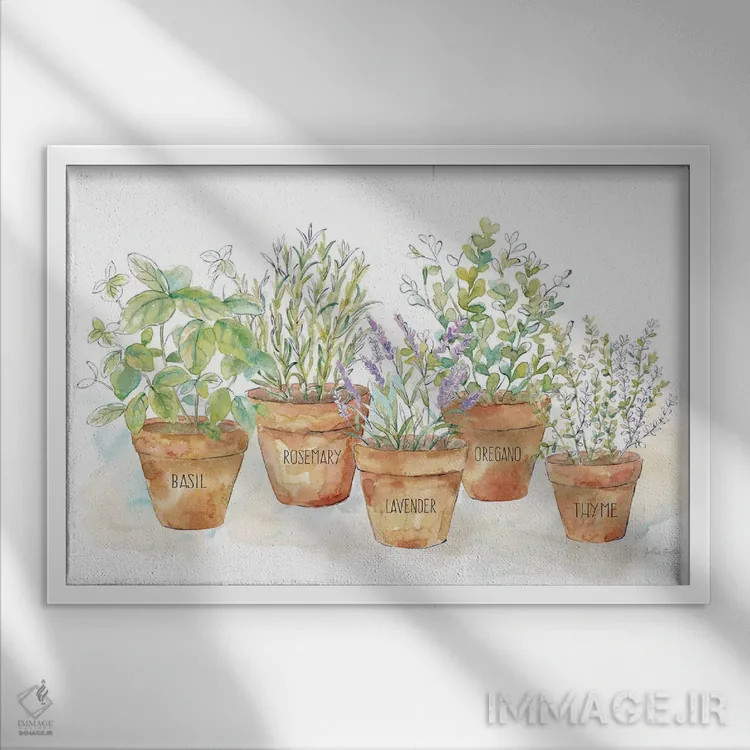 تابلو بگذار رشد کند I (پاک) اثر سینتیا کولتر - نمای قابدار سفید