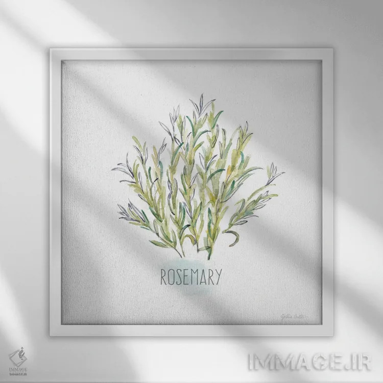 تابلو بگذار رشد کند XVI اثر سینتیا کولتر - نمای قابدار سفید