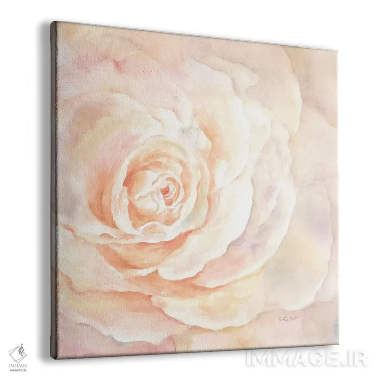 تابلو نمای نزدیک گل رز صورتی I اثر سینتیا کولتر - نمای پرسپکتیو محصول