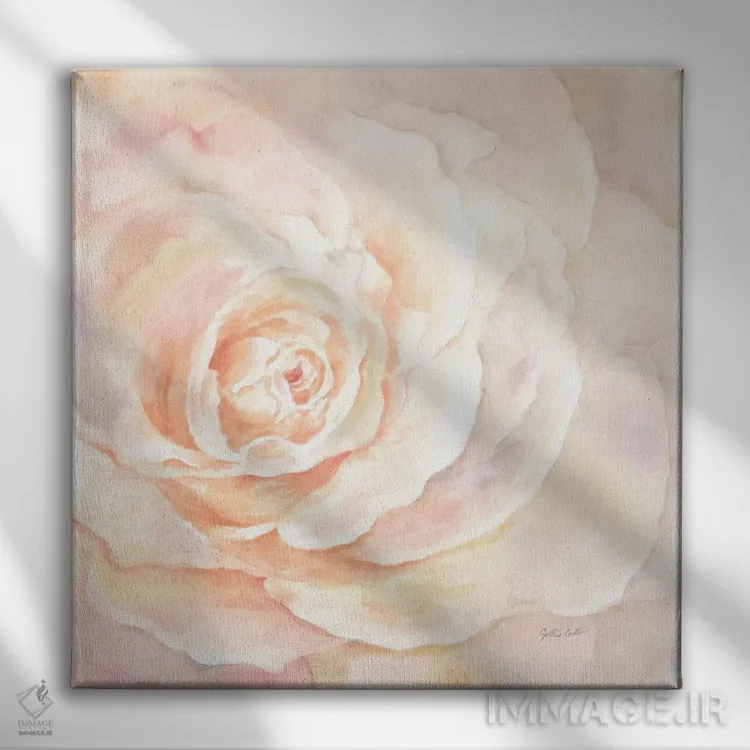 تابلو نمای نزدیک گل رز صورتی I اثر سینتیا کولتر - نمای روبهرو روی دیوار