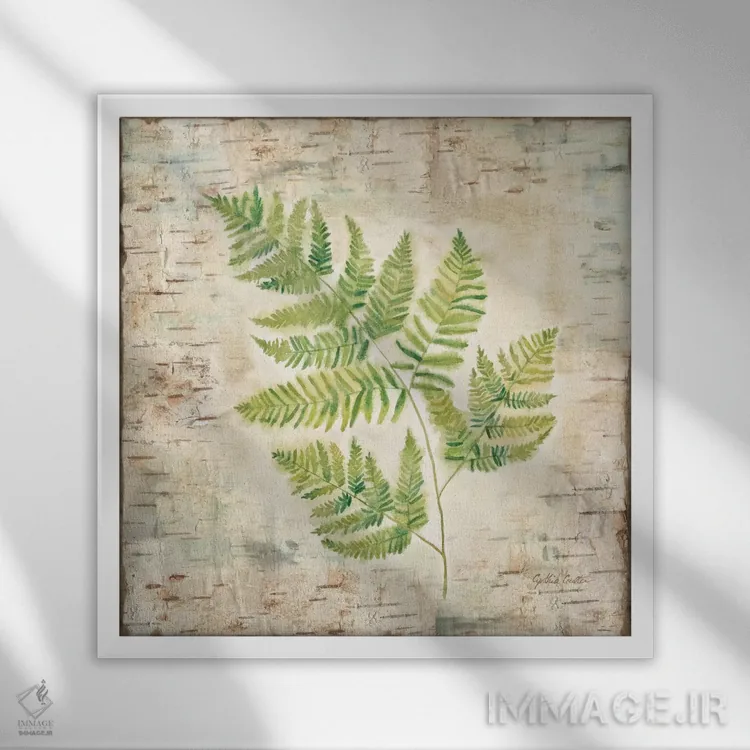 تابلو سرخسهای پوست درخت غان II اثر سینتیا کولتر - نمای قابدار سفید