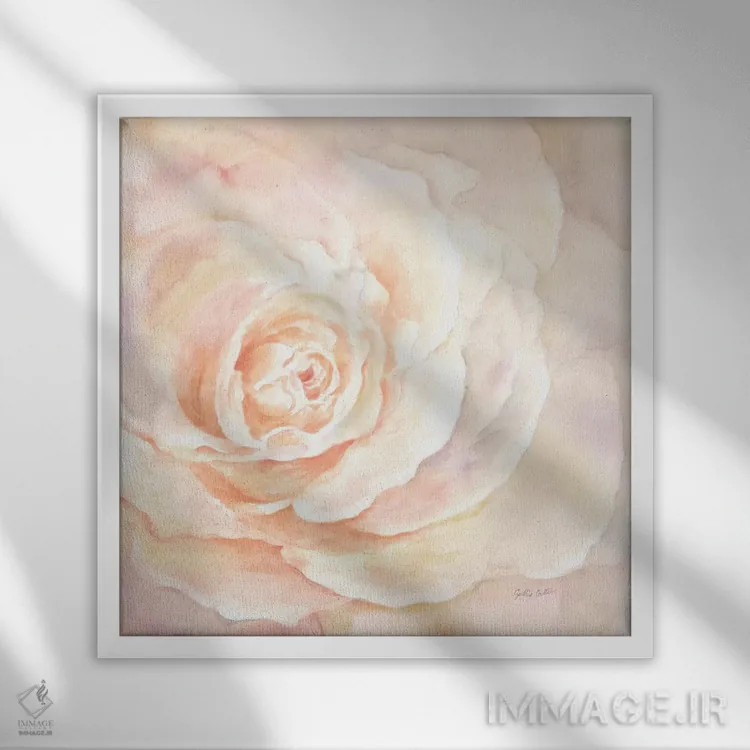 تابلو نمای نزدیک گل رز صورتی I اثر سینتیا کولتر - نمای قابدار سفید