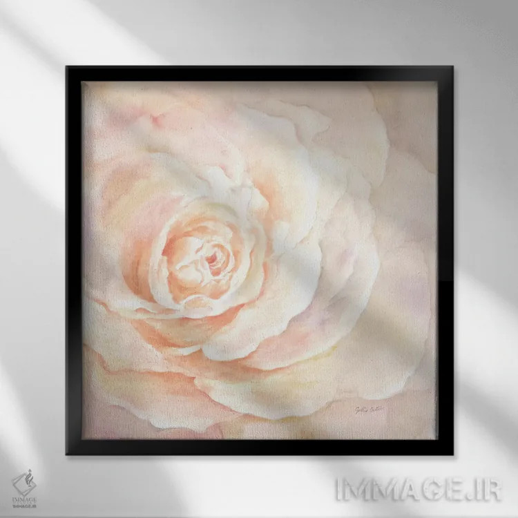 تابلو نمای نزدیک گل رز صورتی I اثر سینتیا کولتر - نمای قابدار مشکی