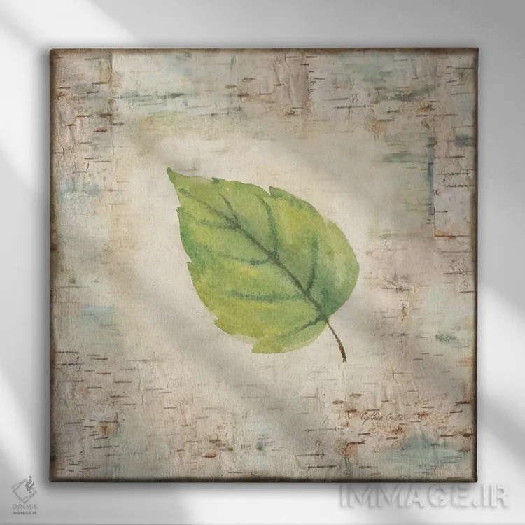 تابلو برگهای قدمزنی در طبیعت IV اثر سینتیا کولتر - نمای روبهرو روی دیوار