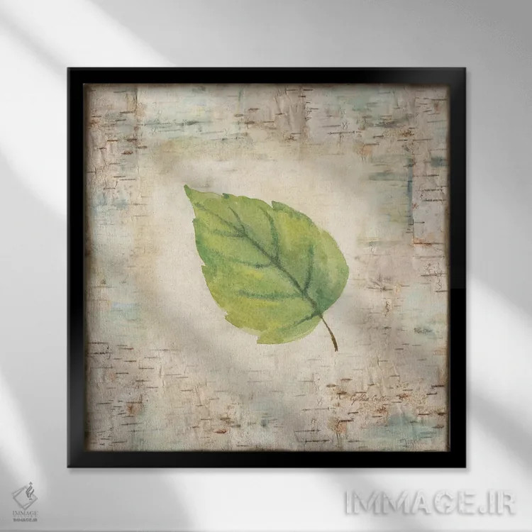 تابلو برگهای قدمزنی در طبیعت IV اثر سینتیا کولتر - نمای قابدار مشکی