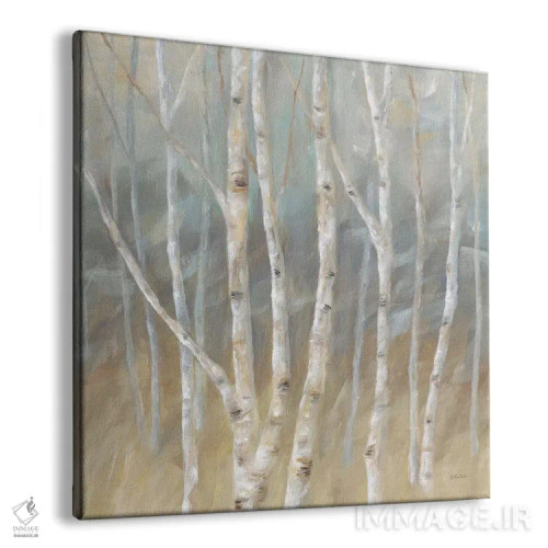 تابلو مربع درخت توس نقرهای اثر سینتیا کولتر - نمای پرسپکتیو محصول