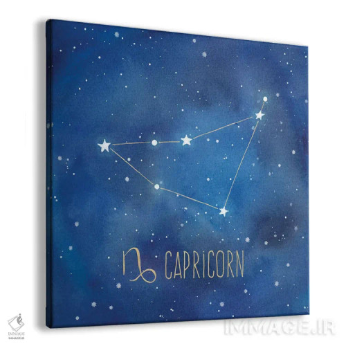 تابلو برج جدی (کاپریکورن) اثر سینتیا کولتر - نمای پرسپکتیو محصول