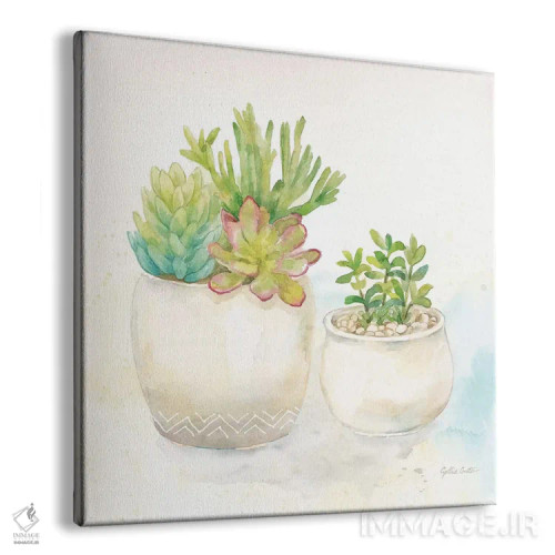 تابلو گلدانهای ساکولنت شیرین I اثر سینتیا کولتر - نمای پرسپکتیو محصول