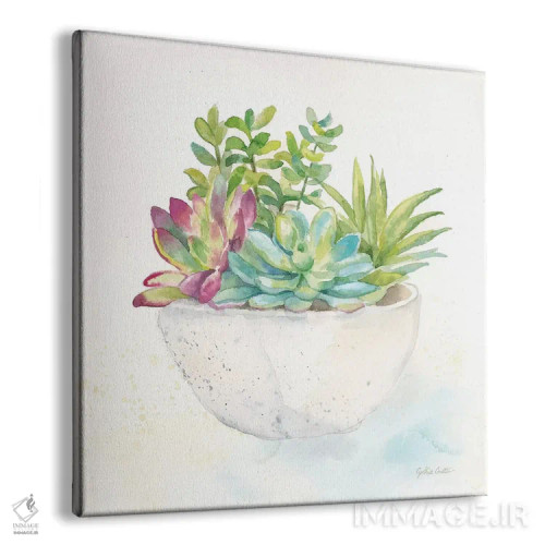 تابلو گلدانهای ساکولنت شیرین II اثر سینتیا کولتر - نمای پرسپکتیو محصول