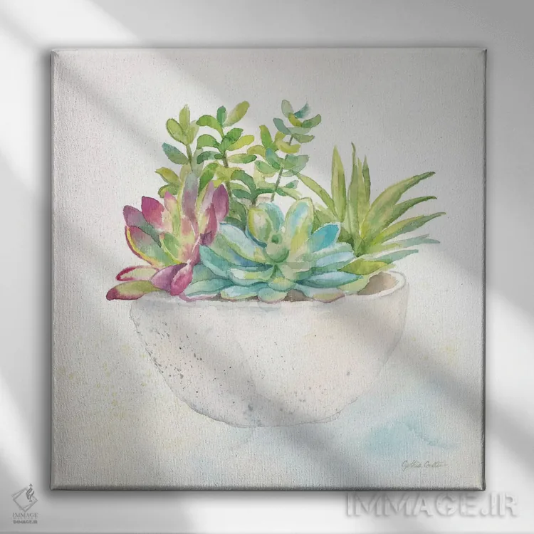 تابلو گلدانهای ساکولنت شیرین II اثر سینتیا کولتر - نمای روبهرو روی دیوار