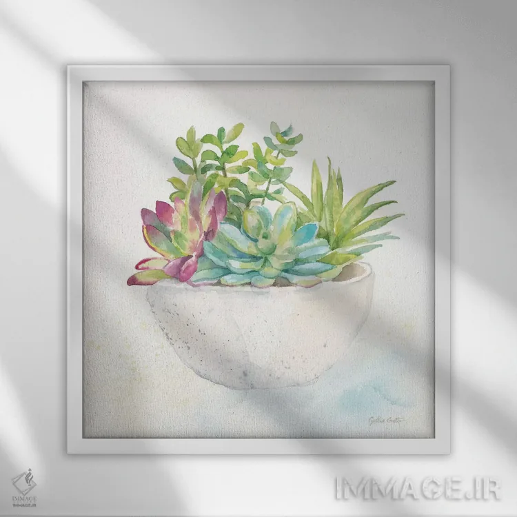 تابلو گلدانهای ساکولنت شیرین II اثر سینتیا کولتر - نمای قابدار سفید