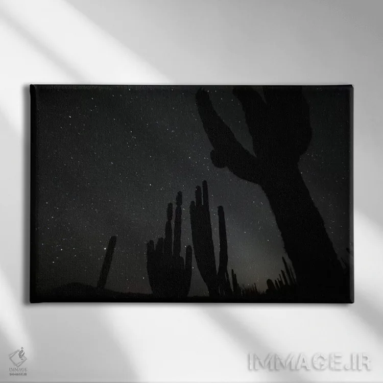 تابلو El Vizcaino Biosphere Reserve, Mexico,کاکتوس کاردون در شب با ستارگان، ذخیرهگاه بیوسفر ال ویزکاینو، مکزیک اثر سیریل روسو - نمای روبهرو روی دیوار