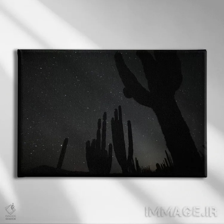 تابلو El Vizcaino Biosphere Reserve, Mexico,کاکتوس کاردون در شب با ستارگان، ذخیرهگاه بیوسفر ال ویزکاینو، مکزیک اثر سیریل روسو - نمای روبهرو روی دیوار