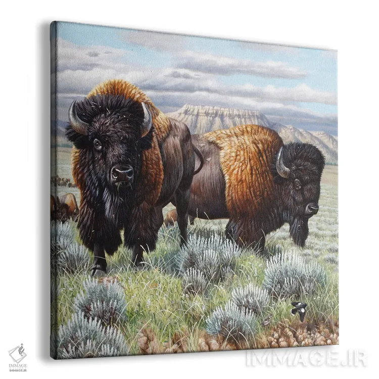تابلو پایان گاومیش کوهاندار آمریکایی اثر سنتی فیشر - نمای پرسپکتیو محصول