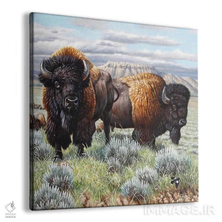 تابلو پایان گاومیش کوهاندار آمریکایی اثر سنتی فیشر - نمای پرسپکتیو محصول