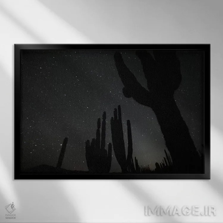 تابلو El Vizcaino Biosphere Reserve, Mexico,کاکتوس کاردون در شب با ستارگان، ذخیرهگاه بیوسفر ال ویزکاینو، مکزیک اثر سیریل روسو - نمای قابدار مشکی
