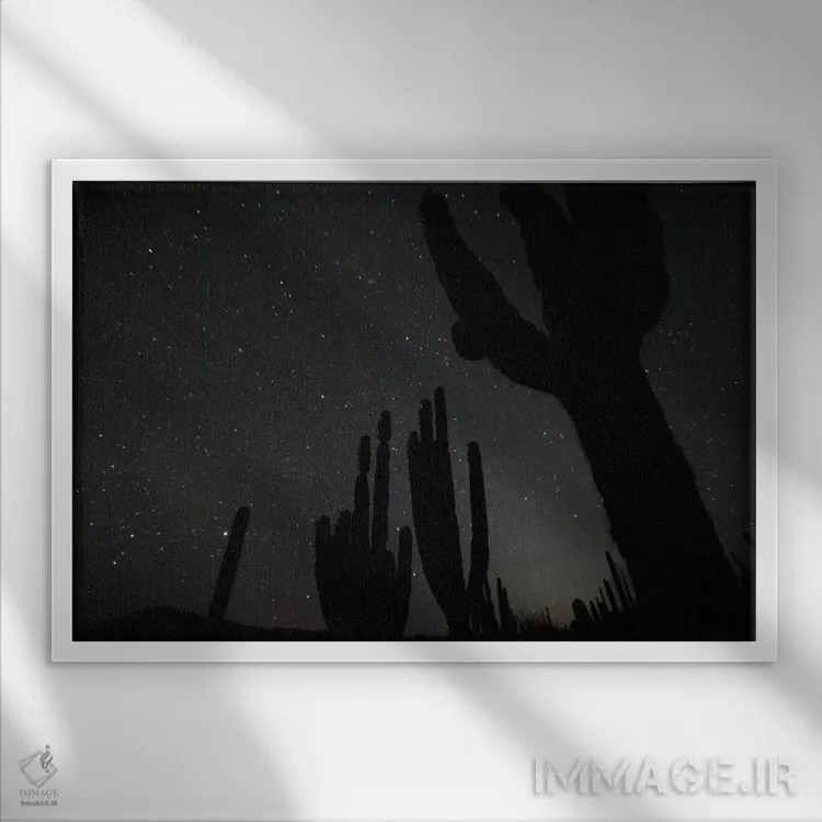 تابلو El Vizcaino Biosphere Reserve, Mexico,کاکتوس کاردون در شب با ستارگان، ذخیرهگاه بیوسفر ال ویزکاینو، مکزیک اثر سیریل روسو - نمای قابدار سفید