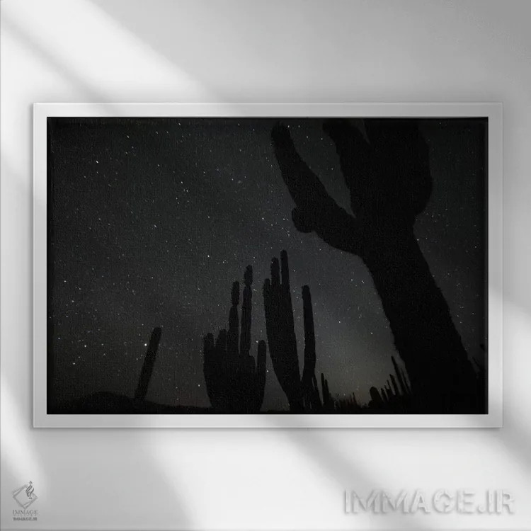تابلو El Vizcaino Biosphere Reserve, Mexico,کاکتوس کاردون در شب با ستارگان، ذخیرهگاه بیوسفر ال ویزکاینو، مکزیک اثر سیریل روسو - نمای قابدار سفید