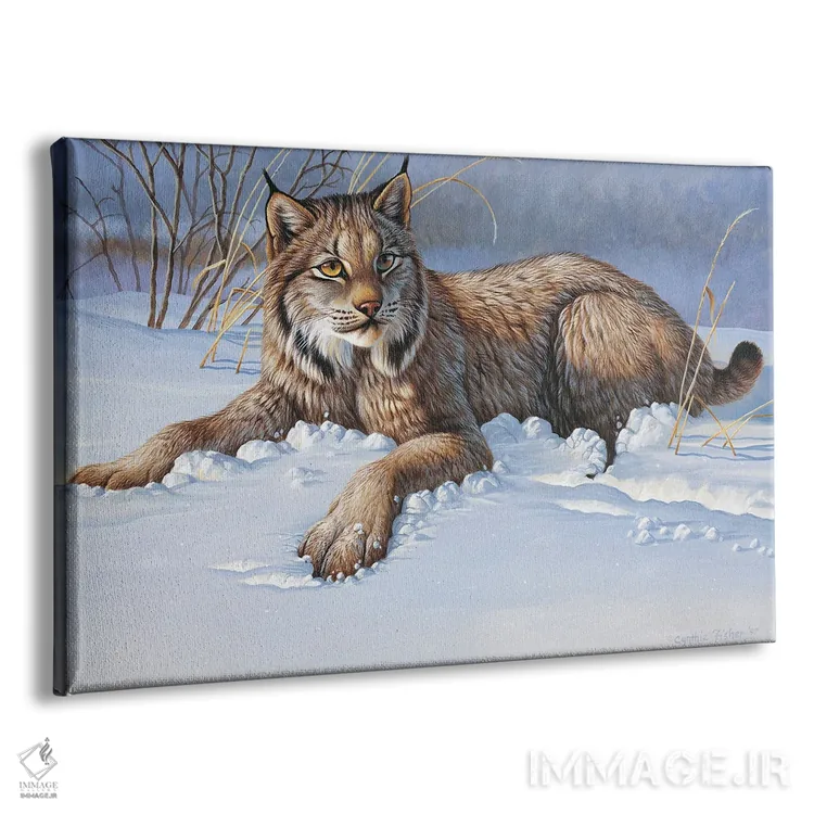 تابلو گربه وحشی (بابکت) اثر سنتی فیشر - نمای پرسپکتیو محصول