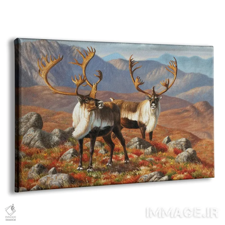 تابلو کاربو ۱ (گوزن شمالی) اثر سنتی فیشر - نمای پرسپکتیو محصول