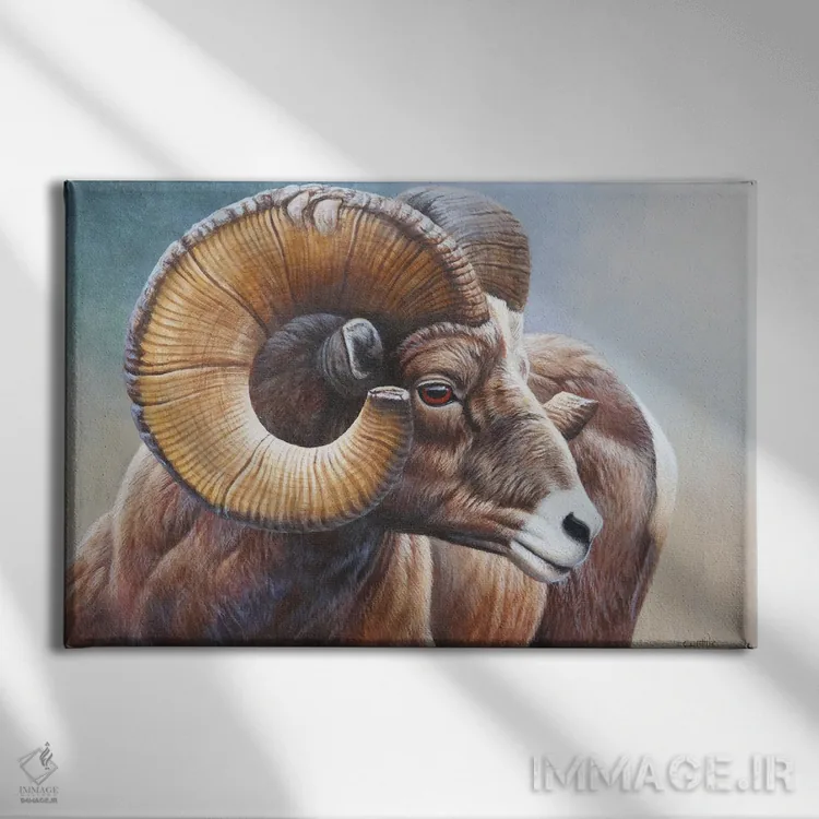 تابلو بایهورن (گوسفند بوقلموندار کوهی) اثر سنتی فیشر - نمای روبهرو روی دیوار