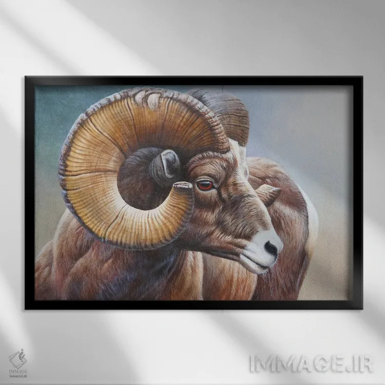 تابلو بایهورن (گوسفند بوقلموندار کوهی) اثر سنتی فیشر - نمای قابدار مشکی