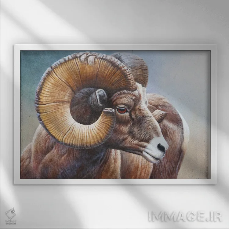 تابلو بایهورن (گوسفند بوقلموندار کوهی) اثر سنتی فیشر - نمای قابدار سفید