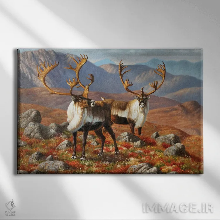 تابلو کاربو ۱ (گوزن شمالی) اثر سنتی فیشر - نمای روبهرو روی دیوار