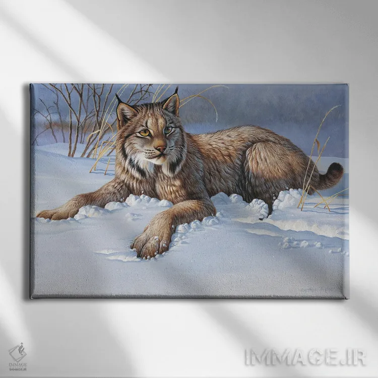 تابلو گربه وحشی (بابکت) اثر سنتی فیشر - نمای روبهرو روی دیوار